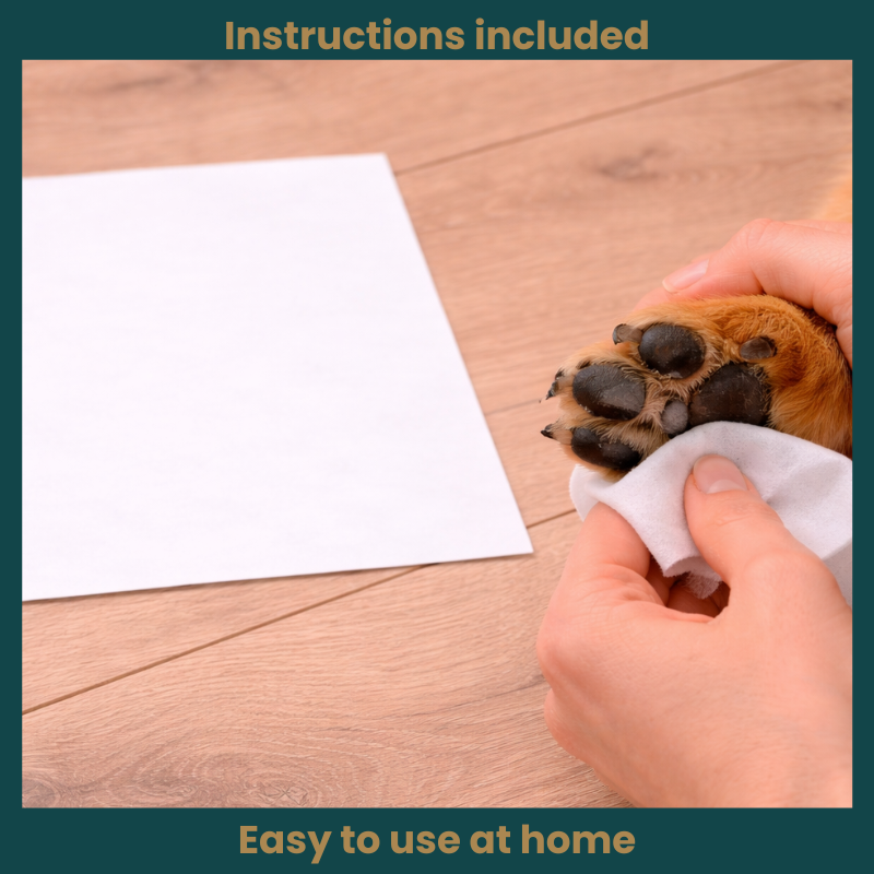 A hand is showin wiping the paw pad of a dog using an inkless wipe to capture the dog's paw print on paper.