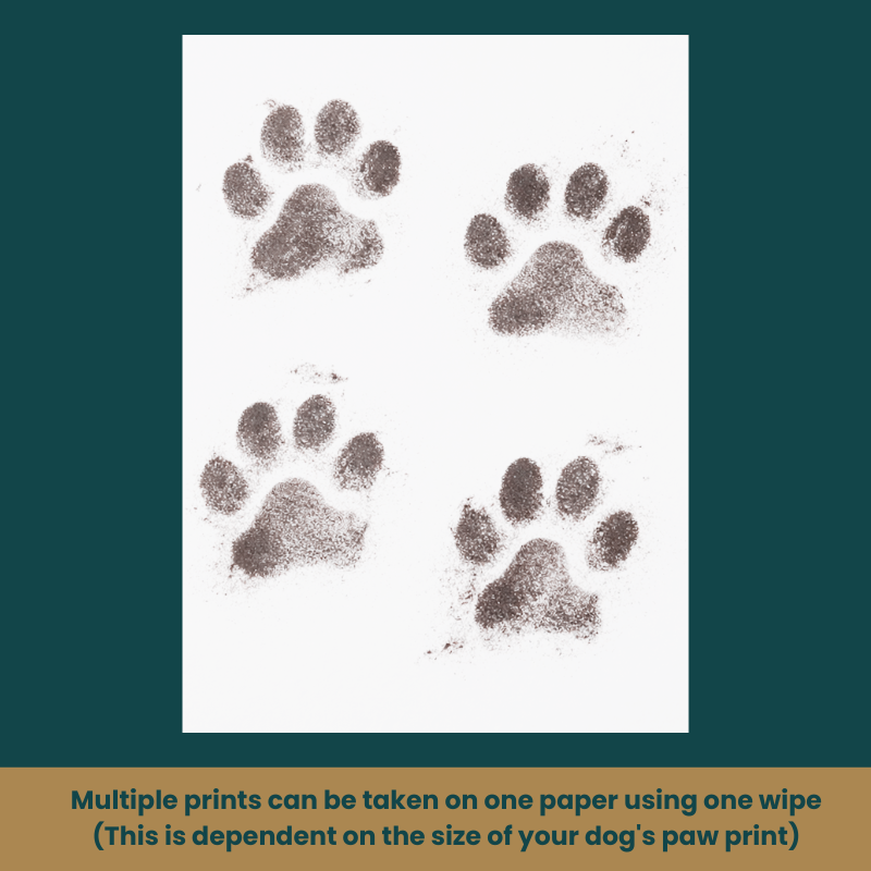 Four ink paw prints on white, A4 paper with text at the bottom that says; Mulitiple prints can be taken on one paper using one wipe (This is dependent on the size of your dog's paw print.)