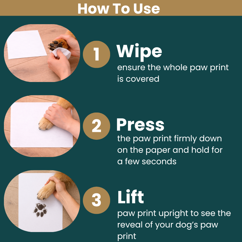 A 'How to use' infrographic and images deomstrating how to capture your dog's paw print in three easy steps: 1. Wipe, 2. Press, 3. Lift.