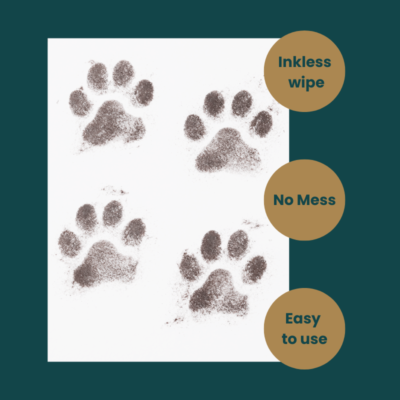 White background with four ink paw prints with instructional infographics on how easy it is to use a paw print kit. and that the kit is mess-free.