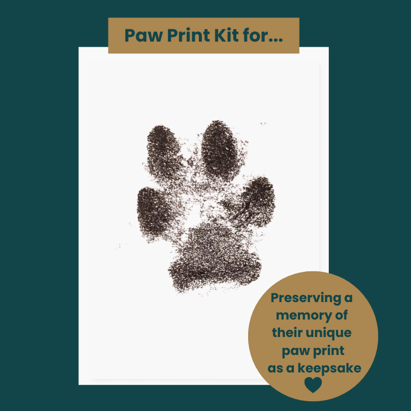 Ink paw print on A4 white paper with text at the top that reads, 'Paw Print Kit for...' Text at the bottom reads, 'Preserving a memory of their unique paw print as a keepsake.'