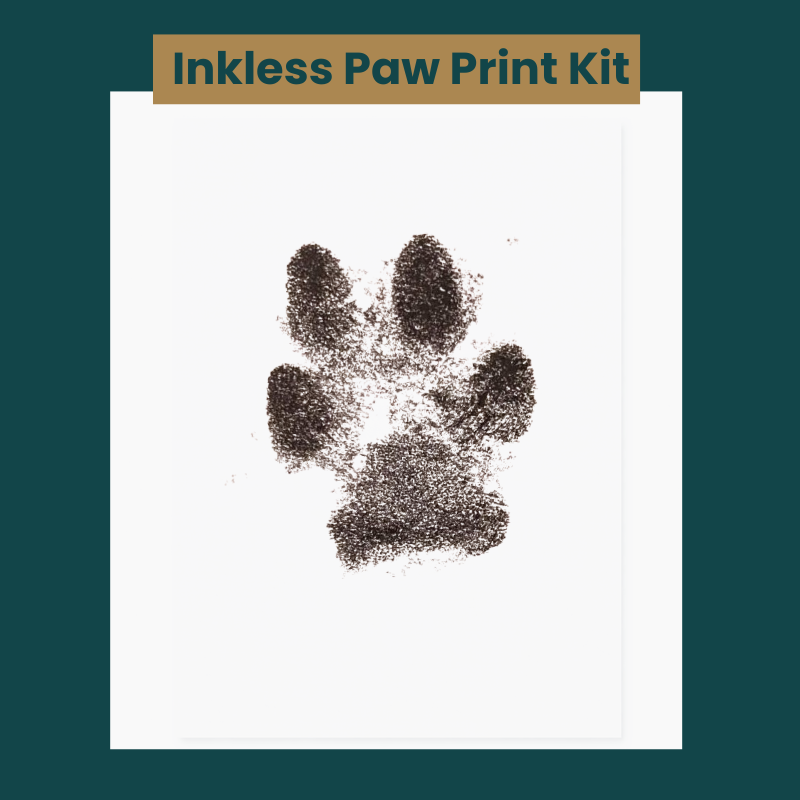 Ink paw print image on white, A4 paper with a dark green background. Text at the top reads; Inkless Paw Print Kit